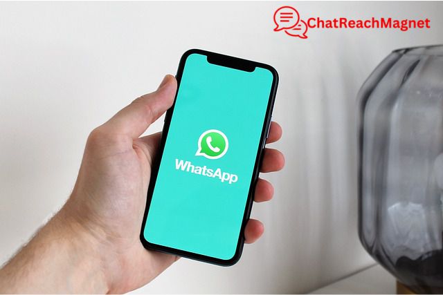 Boost your business with whatsapp business chatbots