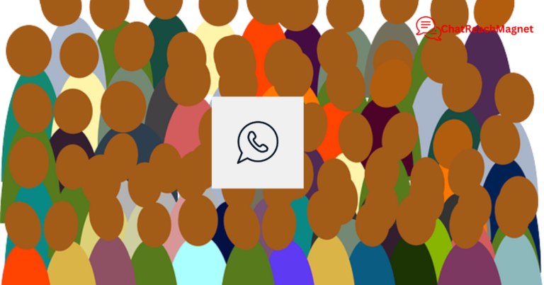 How to Use Custom Audiences on WhatsApp to Drive Targeted Marketing Campaigns