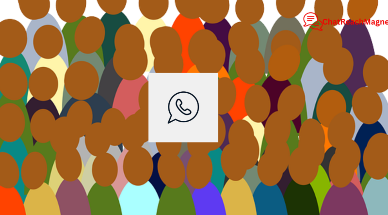 How to Use Custom Audiences on WhatsApp to Drive Targeted Marketing Campaigns