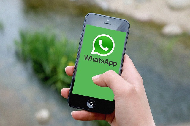 WhatsApp Marketing 