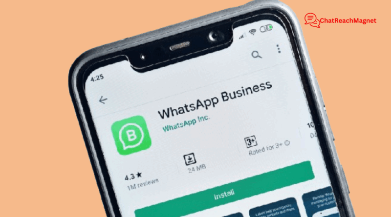 WhatsApp Business Features